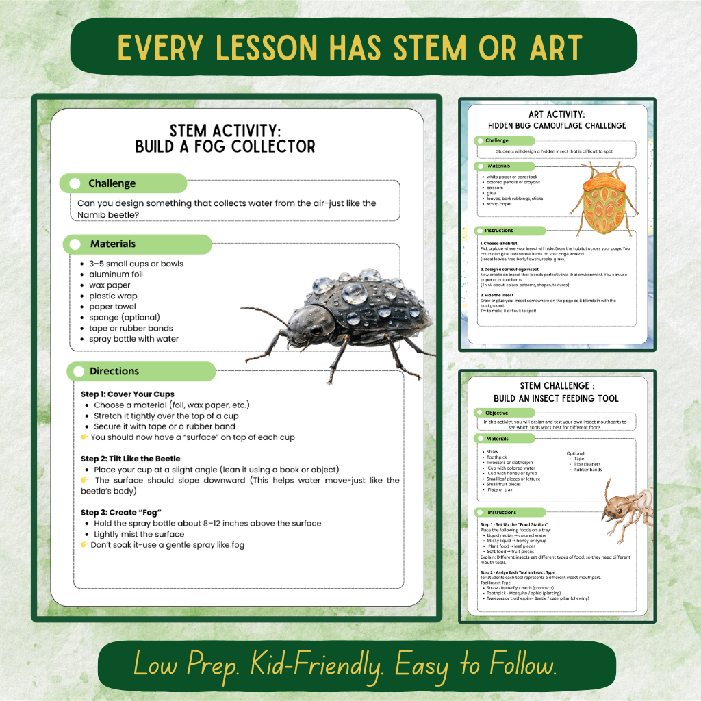6-Week Bug Study | Hands-On Homeschool Science Curriculum