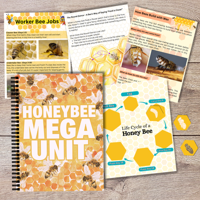 Inside The Hive - Honeybee Unit