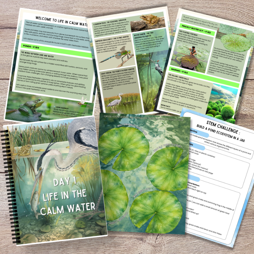 Anthology of Aquatic Life Companion Unit Study