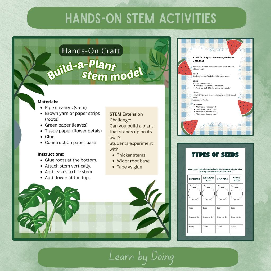 Plant Life Cycle Unit (K–2)