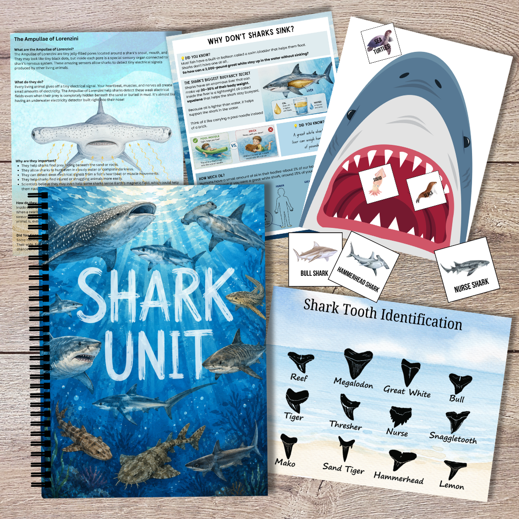 Ultimate Shark Unit Study